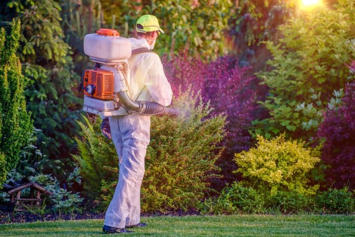 lawn care and pest control
