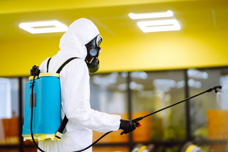 Right Pest Control and Bed Bug Extermination Services