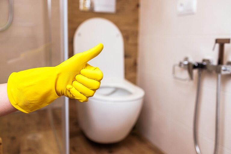 6 Ways You Can Get a Toilet to Flush Better