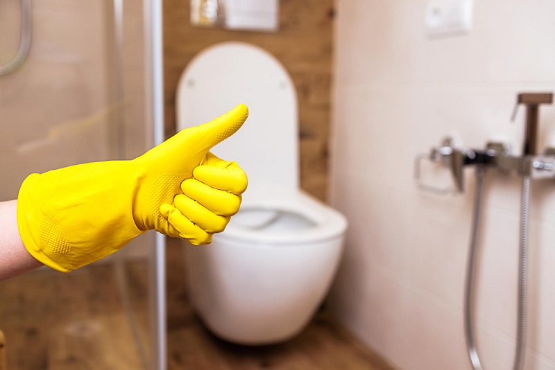 6-ways-you-can-get-a-toilet-to-flush-better