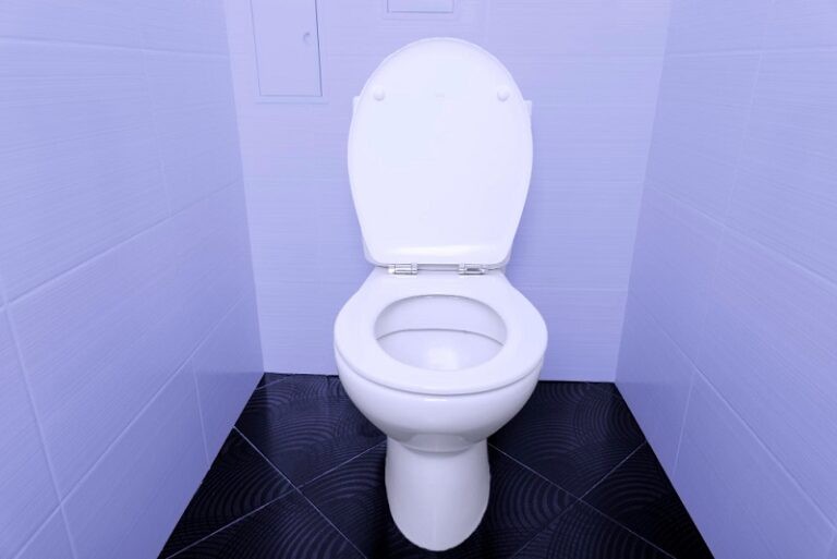 Thetford RV Toilet