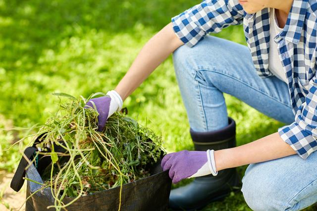 How to Bring a Dead Lawn Back to Life
