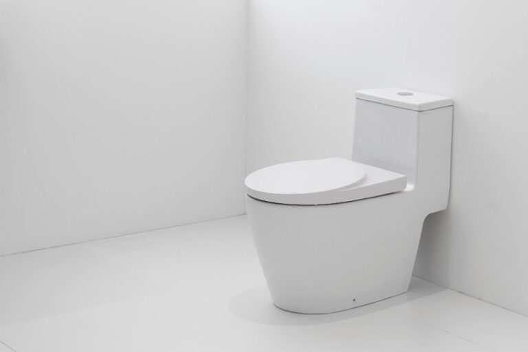 unclog a toilet