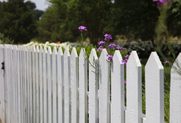 How to Choose a Fence Contractor: The Complete Guide for Homeowners