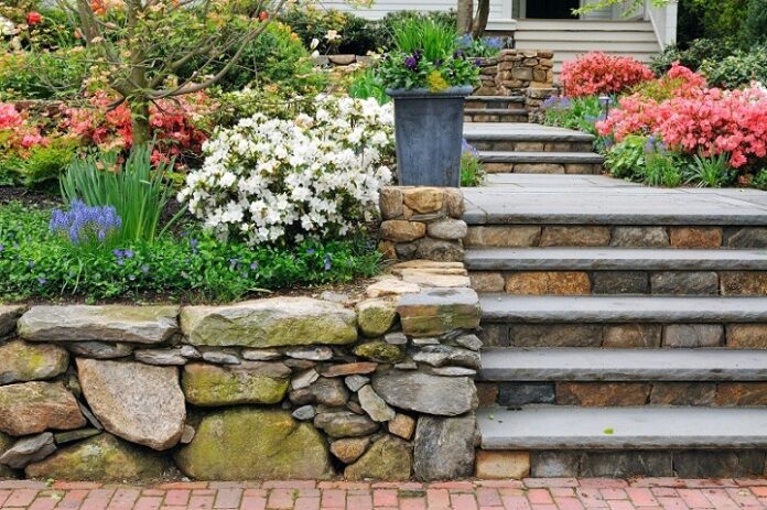landscape design ideas