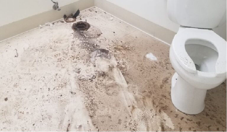 What Happens When Sewage Backs Up