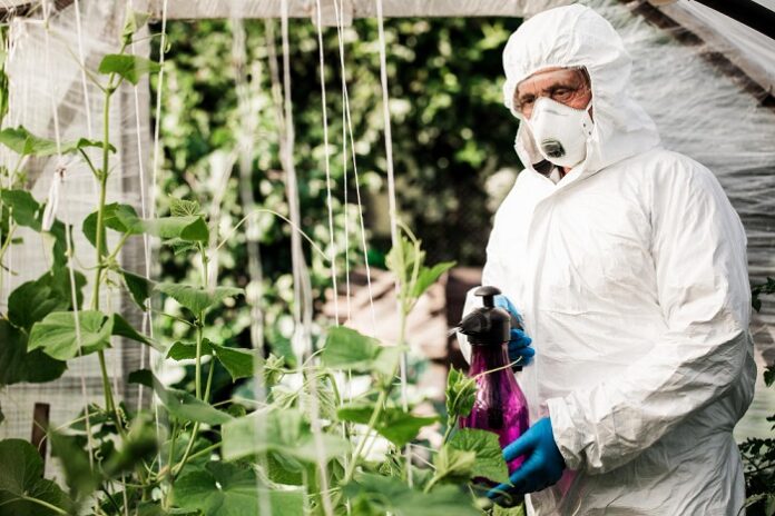 Regular Pest Inspections