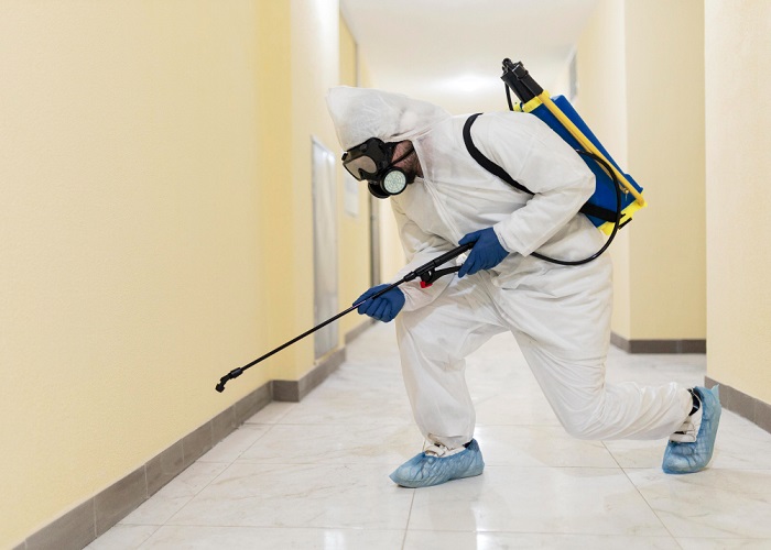 The Ultimate Guide to Mold Removal - Tips and Techniques