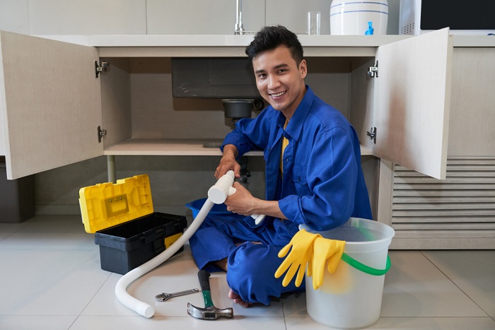 Professional Plumber