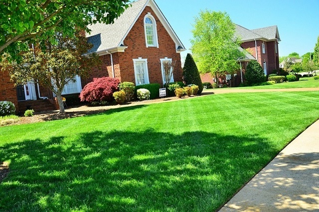 residential landscaping services