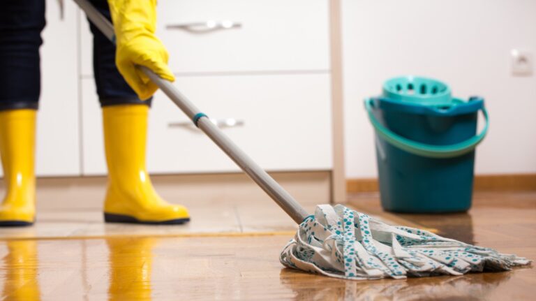 Private Housekeeper