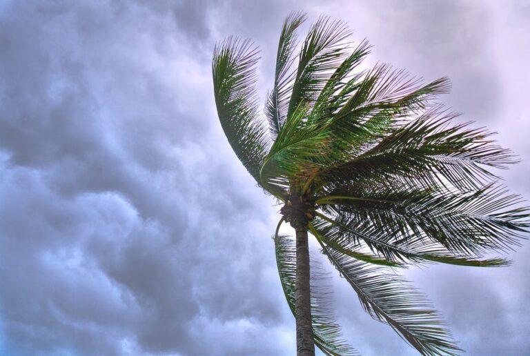 storm damage repair