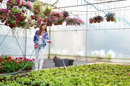 Why Should You Use Shade Cloth in Your Garden?