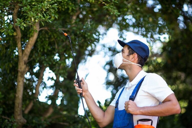 Tree Inspection