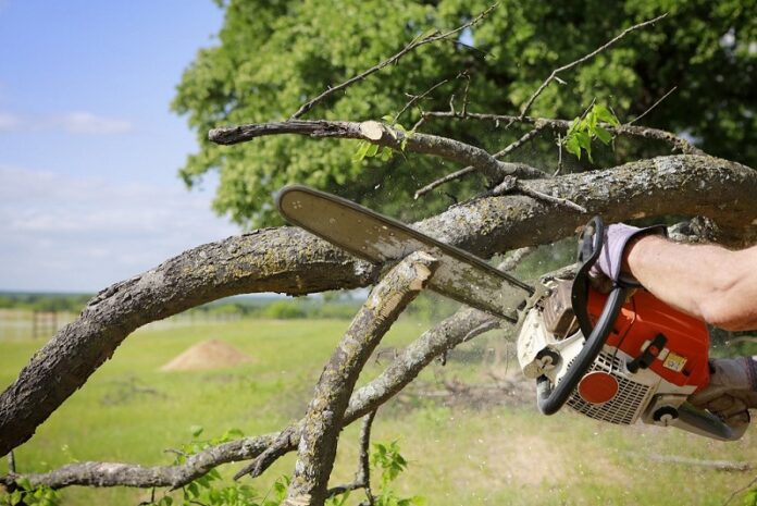 equipment needed to start a tree removal business