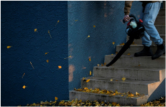Leaf Blowing Service
