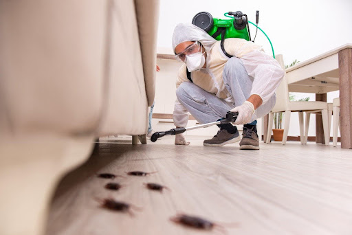 Building Pest Inspection