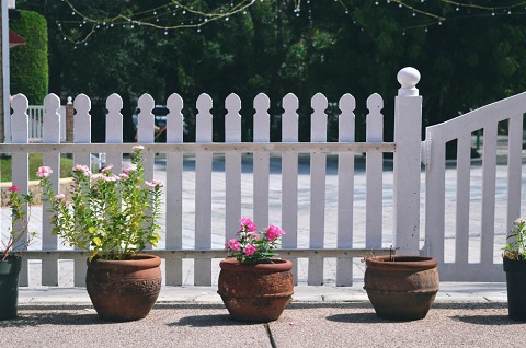 Fence Ideas