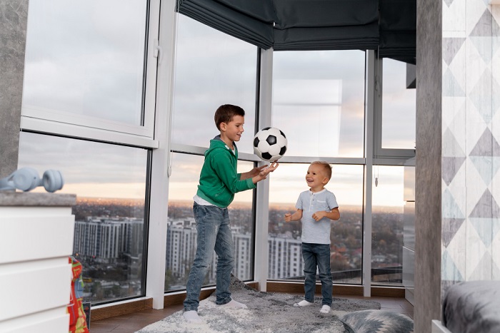 roof windows