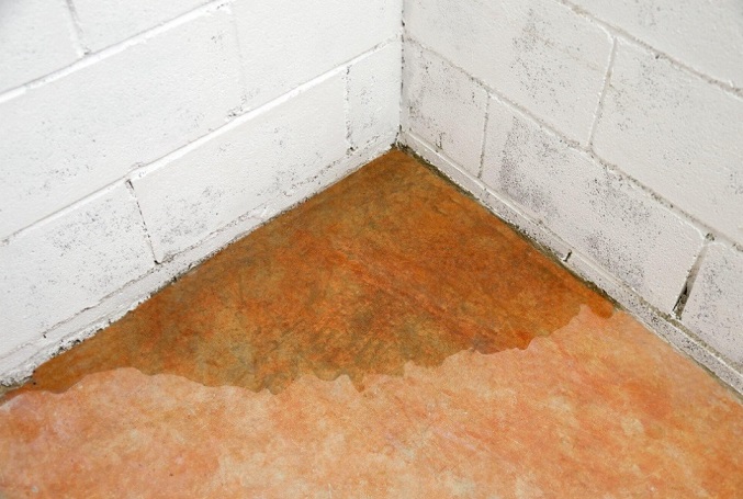 leaking basement wall