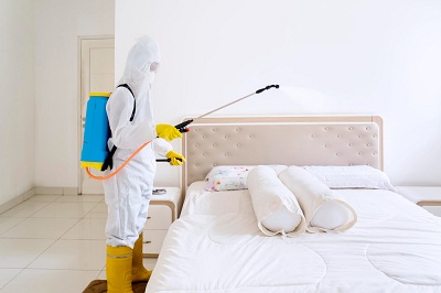 Bed Bug Treatment